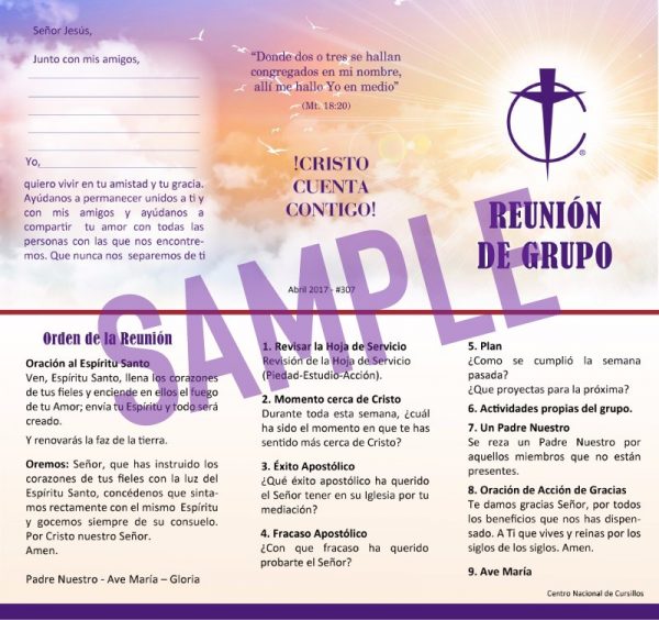Hoja de Reunión de Grupo (50) - 2017